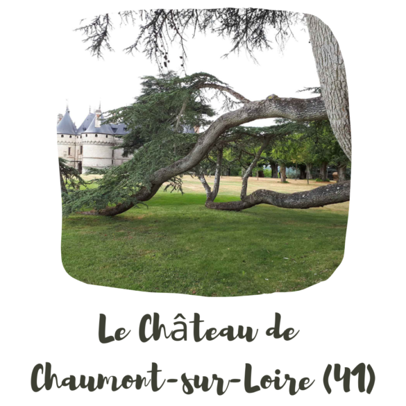 le chateau de Chaumont sur Loire